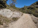 Jolie descente